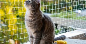 Katzen Netz für unseren Balkon